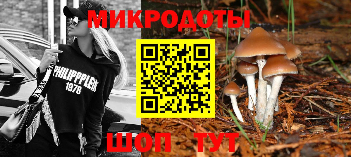 Псилоцибиновые грибы мухоморы Дальнегорск