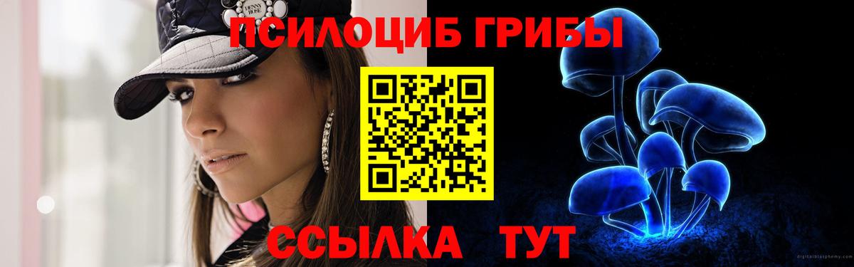 Дальнегорск  Псилоцибиновые грибы прущие грибы  Псилоцибиновые грибы мицелий  Вход с VPN 